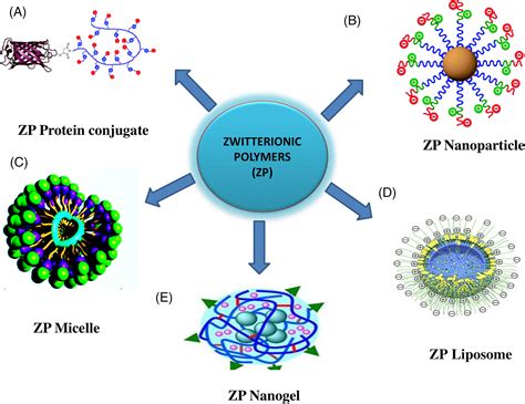 Zwitterionic Polymers: Révolutionnant l’Industrie Biomédicale à Travers leur Nature Amphiphiles !