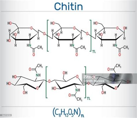  Chitine: Un Polymère Naturel Fascinant pour l'Innovation Biomédicale!