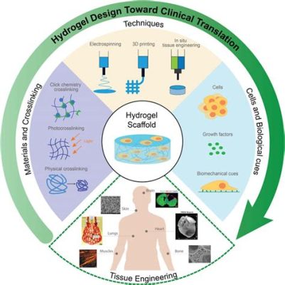  Kelp-Derived Hydrogel: Un Nouveau Champion pour l’Ingénierie Tissulaire!