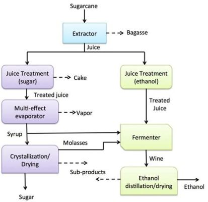 Sucrose Utilisation en Industrie Alimentaire et dans la Production de Biocarburants !